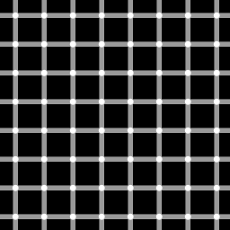 Grid illusie